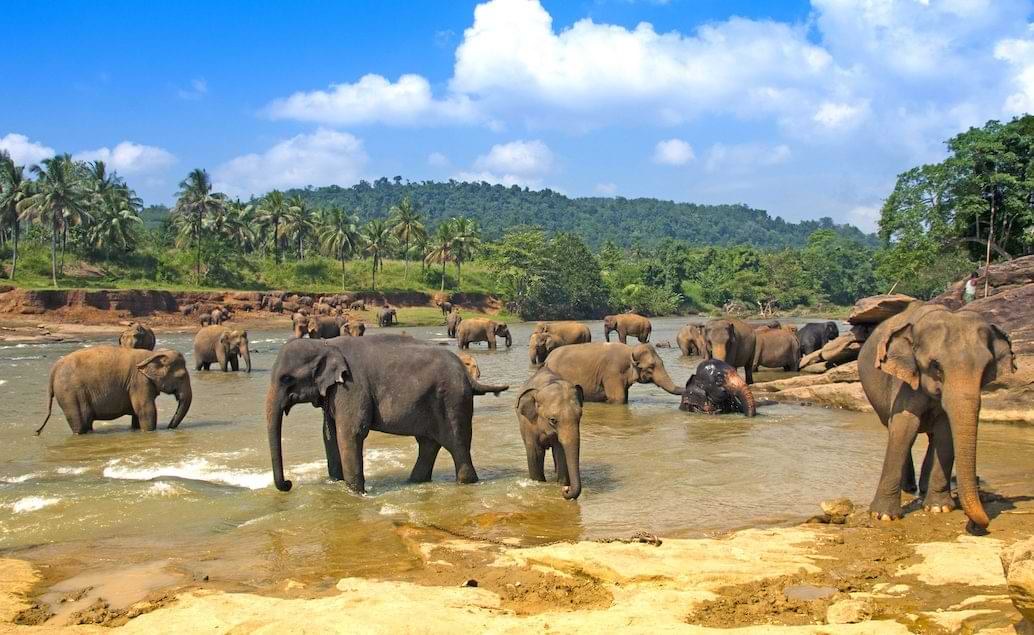 Krásy Srí Lanky