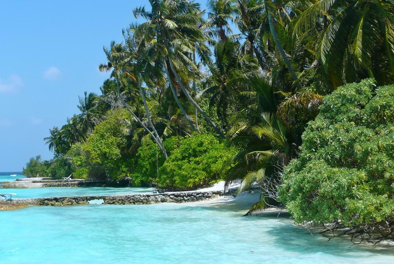 Joga Maldivy
